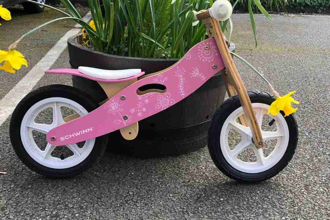 Schwinn Balance Bike