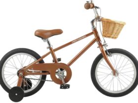 Retrospec Beaumont Mini 16 Inch Kids Bike