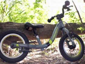 guardian balance bike